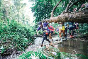 BIB: 
                            <button type="button" onclick="openModal(25455817)" class="btn btn-primary btn-sm float-right btn-popup" data-toggle="modal" data-target=".modal-high-quality">
                        <i class="fas fa-shopping-cart"></i> Add to Cart
                    </button>
                                            <button type="button" onclick="isThisMe(25455817, true)" class="btn btn-success btn-sm float-right btn-popup btn-isme hidden" data-toggle="tooltip" data-placement="bottom" title="นี่คือรูปของคุณใช่ไหม คลิกที่นี่เพื่อเอาเข้าอัลบั้ม">
                        <i class="fas fa-plus"></i> Add to album
                    </button>
                    <button type="button" onclick="isThisMe(25455817, false)" class="btn btn-warning btn-sm float-right btn-popup btn-isnotme hidden">
                        <i class="fas fa-ban"></i> Remove from album
                    </button>